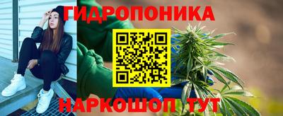стаф Бузулук