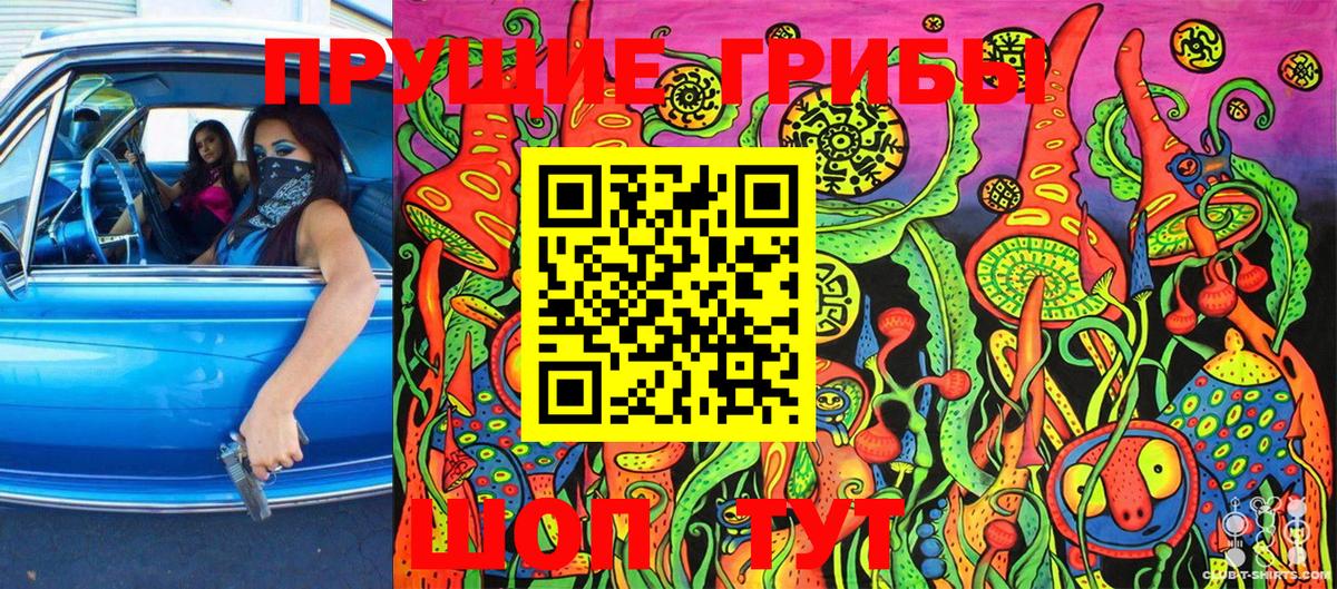 Галлюциногенные грибы GOLDEN TEACHER  Вход с VPN  наркота  Псилоцибиновые грибы Cubensis  Сланцы 