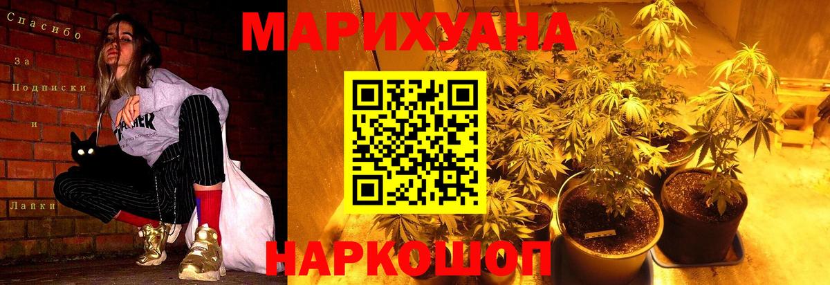 Конопля Bruce Banner Сланцы
